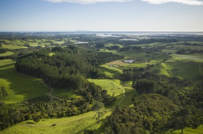 Sheep and beef farm showing mix of restoring native vegetation and plantation forestry