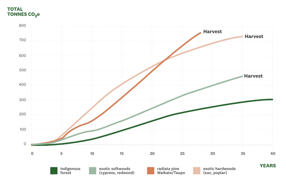 Magnitude of offset by species