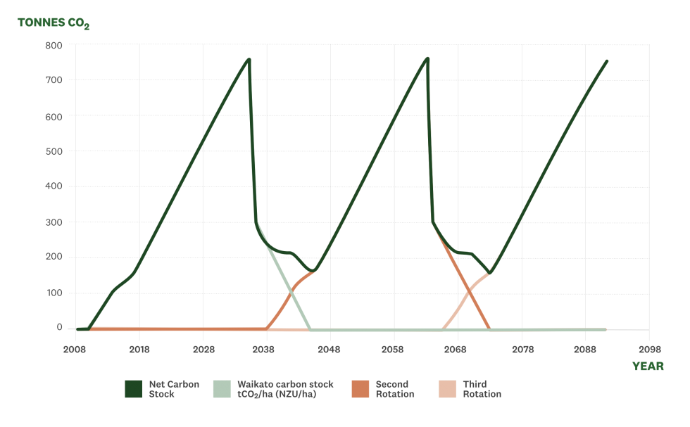 Total carbon associated with 28yr rotation pine