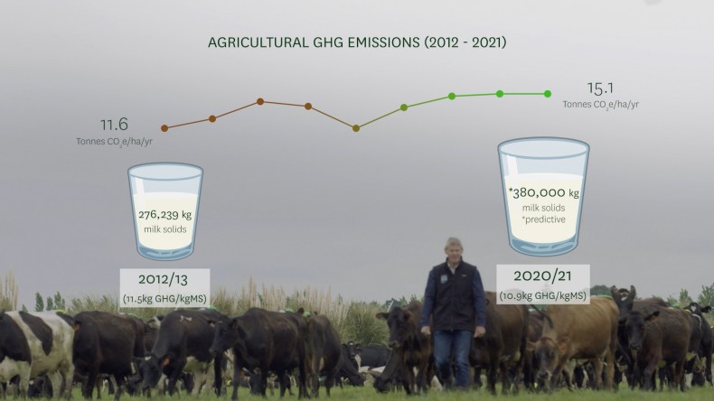 Graph showing Phill Everest's agricultural greenhouse gas emissions from 2012 to 2021. On the left for 2012/13 this shows 11.6 tonnes of CO2-equivalent per hectare per year. Production of milk solids was 276,239kg, which works out as 11.5kg GHG/kgMS. On the right, for 2020/21, greenhouse gas emissions were 15.1 tonnes CO2-equivalent per hectare per year, with 380,000kg milk solids produced, working out to 10.9 kg GHG/kgMS