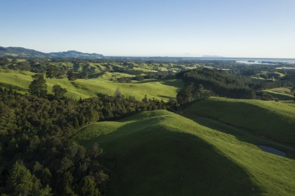 DJI 0258 Sheep and beef farm looking towards Tauranga Harbour