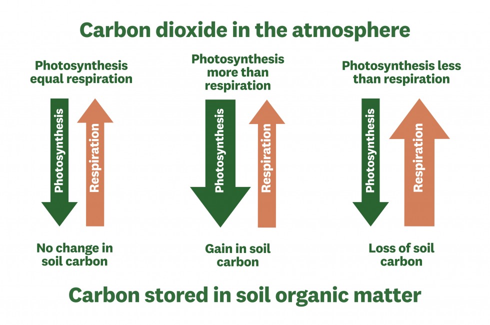 Soil Carbon 2